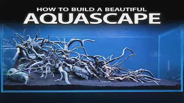HOW TO BUILD A BEAUTIFUL AQUASCAPE EASILY - INSPIRATION, HARDSCAPE, LAYOUT